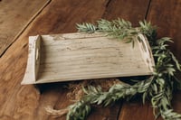 Image 1 of Posing Tray