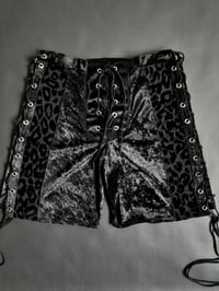 Image 4 of Gutter Shorts/ Hotpants