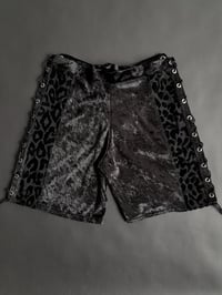 Image 5 of Gutter Shorts/ Hotpants