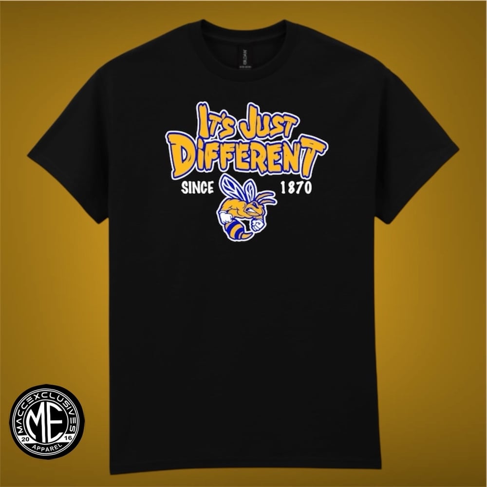 Image of ALLEN UNIVERSITY "IT'S JUST DIFFERENT"