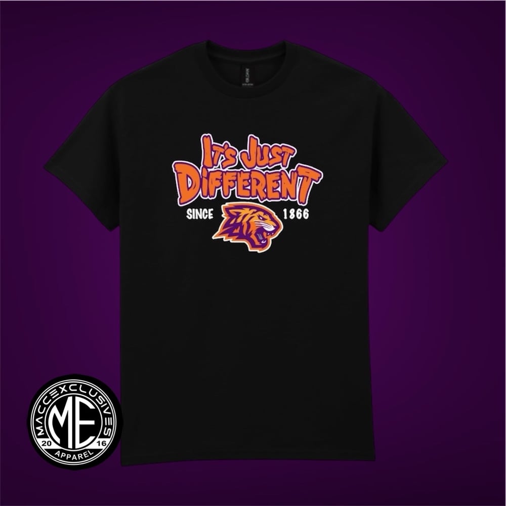 Image of EDWARD WATERS  "IT'S JUST DIFFERENT"