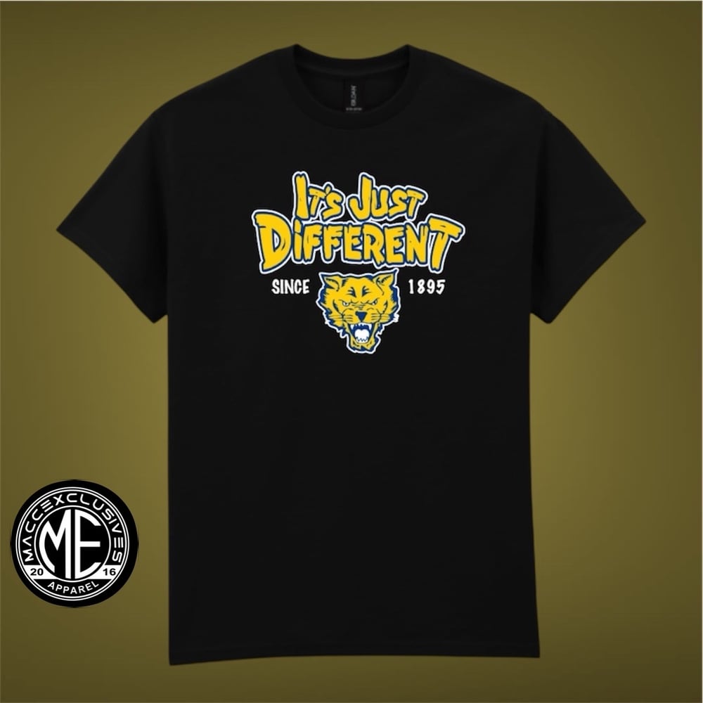 Image of FORT VALLEY STATE  "IT'S JUST DIFFERENT"