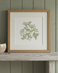 Image 3 of COW PARSLEY ART PRINT