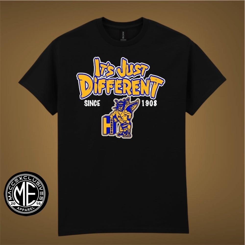 Image of MORRIS COLLEGE  "IT'S JUST DIFFERENT"