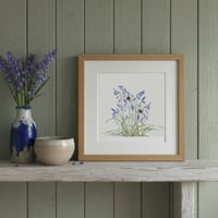Image 2 of BLUEBELL  ART PRINT