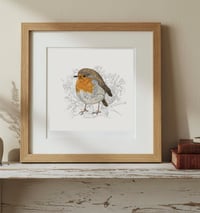 Image 2 of ROBIN REDBREAST ART PRINT