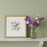 Image 2 of SWEETPEA  ART PRINT