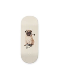 Image 1 of Louie the Pug