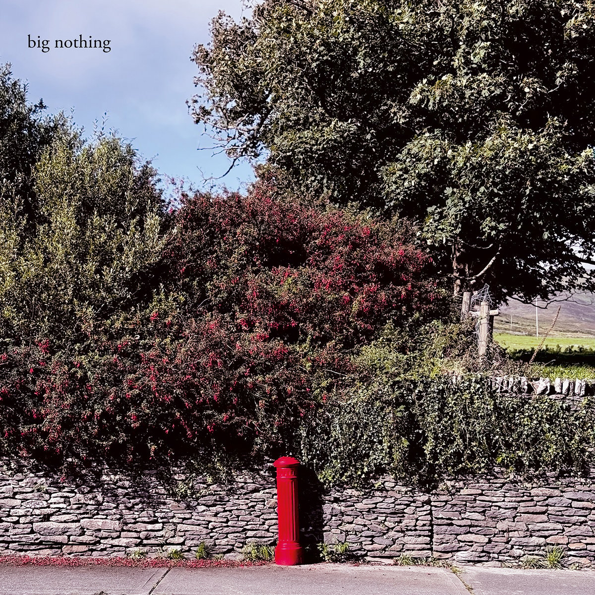 brassneck-records-big-nothing-big-nothing-lp-green