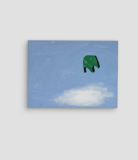 Tampoco imagine ver paisajes flotantes // RESERVED