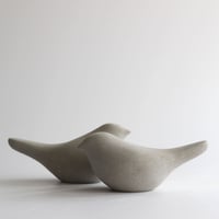 Image 3 of Branshaw Birds