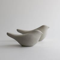 Image 1 of Branshaw Birds