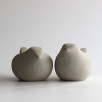 Image 5 of Branshaw Birds