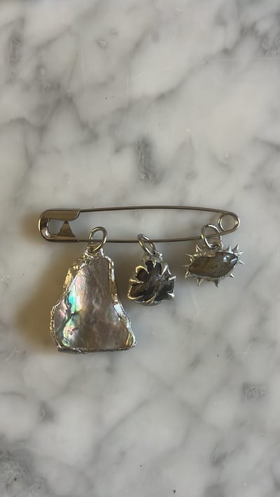 Image of BIG FANCY BROOCH 3.0