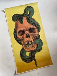Skull and Snake 1