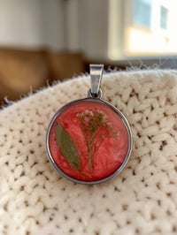 Image 3 of Coral Wild Flower