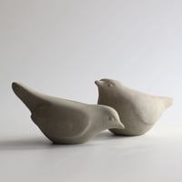 Image 4 of Branshaw Stone Bird