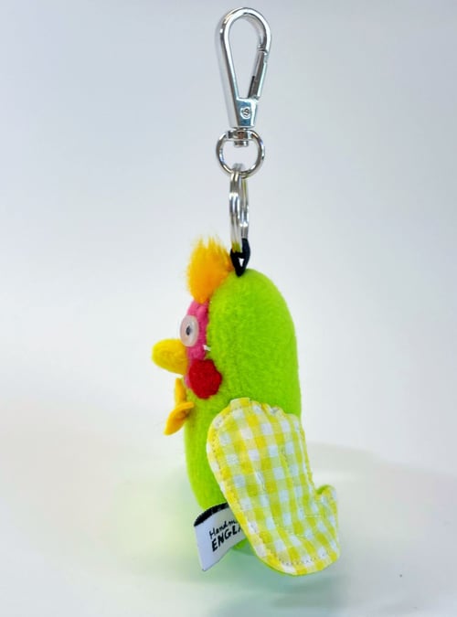 Image of Lulu the love bird 