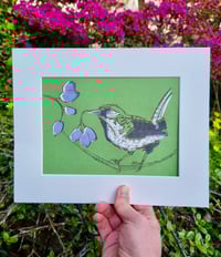 Image 2 of Garden Birds