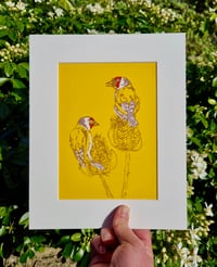 Image 1 of Garden Birds