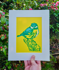 Image 4 of Garden Birds