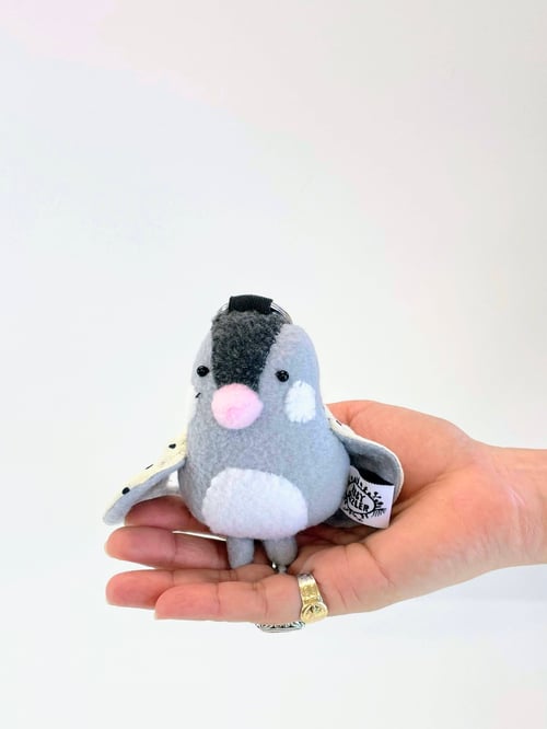 Image of Pipi the Java sparrow