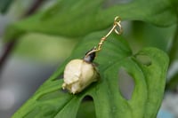 Image 3 of Rose Drift Necklace