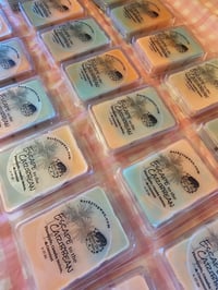 Image 5 of Escape to the Caribbean 