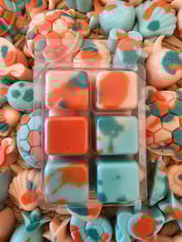 Image 2 of Escape to the Caribbean 