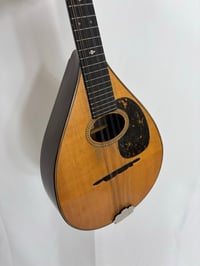 Image 2 of 1917 CF Martin Model B Mandolin