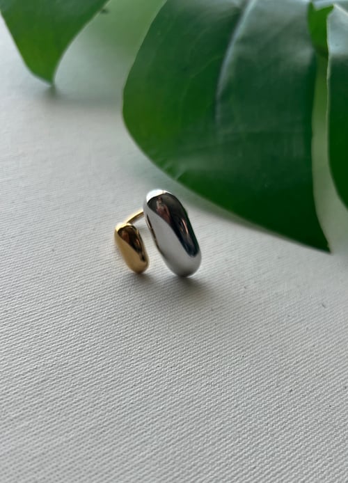 Image of COUSIN • two-toned ring
