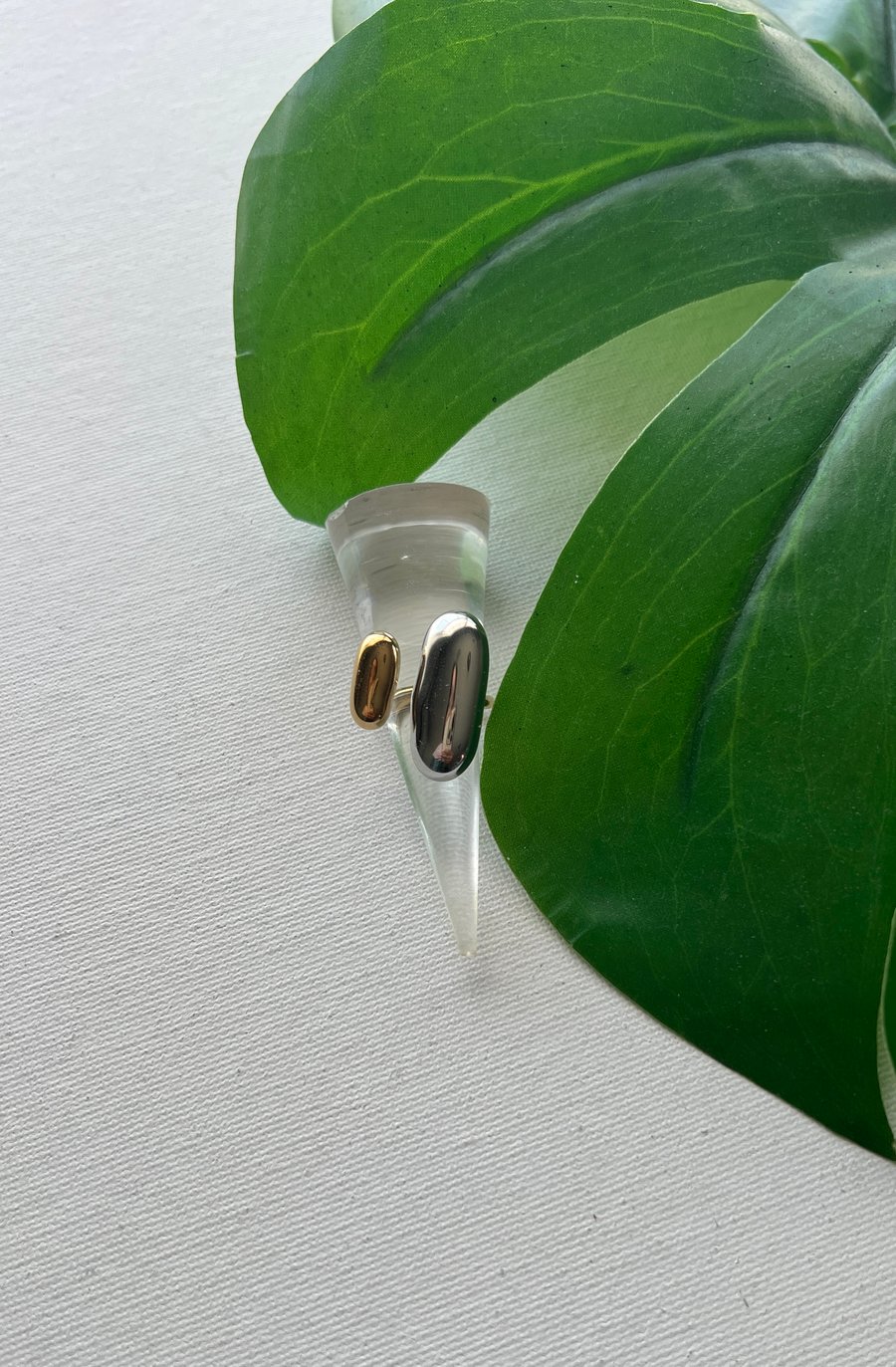 Image of COUSIN • two-toned ring