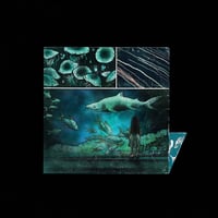 CYB 12 x16 ALT VINYL JACKET SLIP