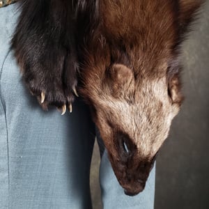 Image of Wolverine Fur Mantle