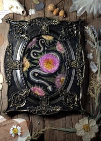Image 1 of Snake Skeleton and Floral Rose Wall Frame