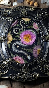Image 3 of Snake Skeleton and Floral Rose Wall Frame