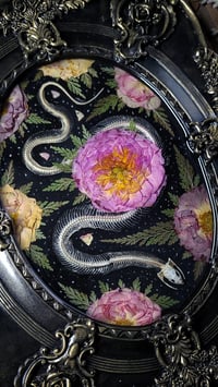 Image 4 of Snake Skeleton and Floral Rose Wall Frame