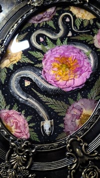 Image 2 of Snake Skeleton and Floral Rose Wall Frame