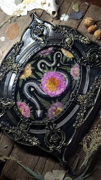 Image 5 of Snake Skeleton and Floral Rose Wall Frame