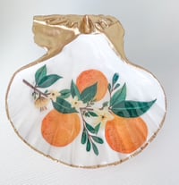 Old Florida | Large Trinket Shell
