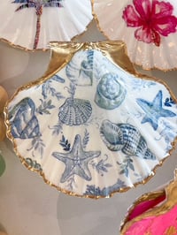 Ocean Life | Medium Trinket Shell