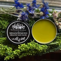 Image 1 of Meadowmend Skin Salve - Cuts, Scrapes, Burn Salve