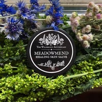 Image 2 of Meadowmend Skin Salve - Cuts, Scrapes, Burn Salve