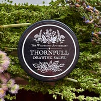 Image 2 of Thornpull Drawing Salve - Splinter, Thorn, Ingrown Hair Salve