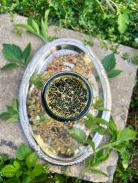 Image 2 of The Druid's Hearth - Blessed & Dressed 7-Day Altar Candle