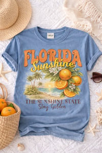 Florida Sunshine State 