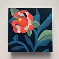 Chrysanthemum