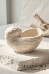 Image 3 of NORD SHELL