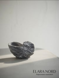 Image 4 of NORD SHELL