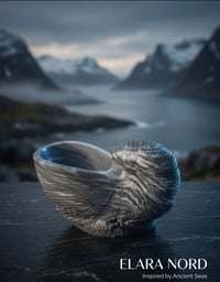 Image 5 of NORD SHELL